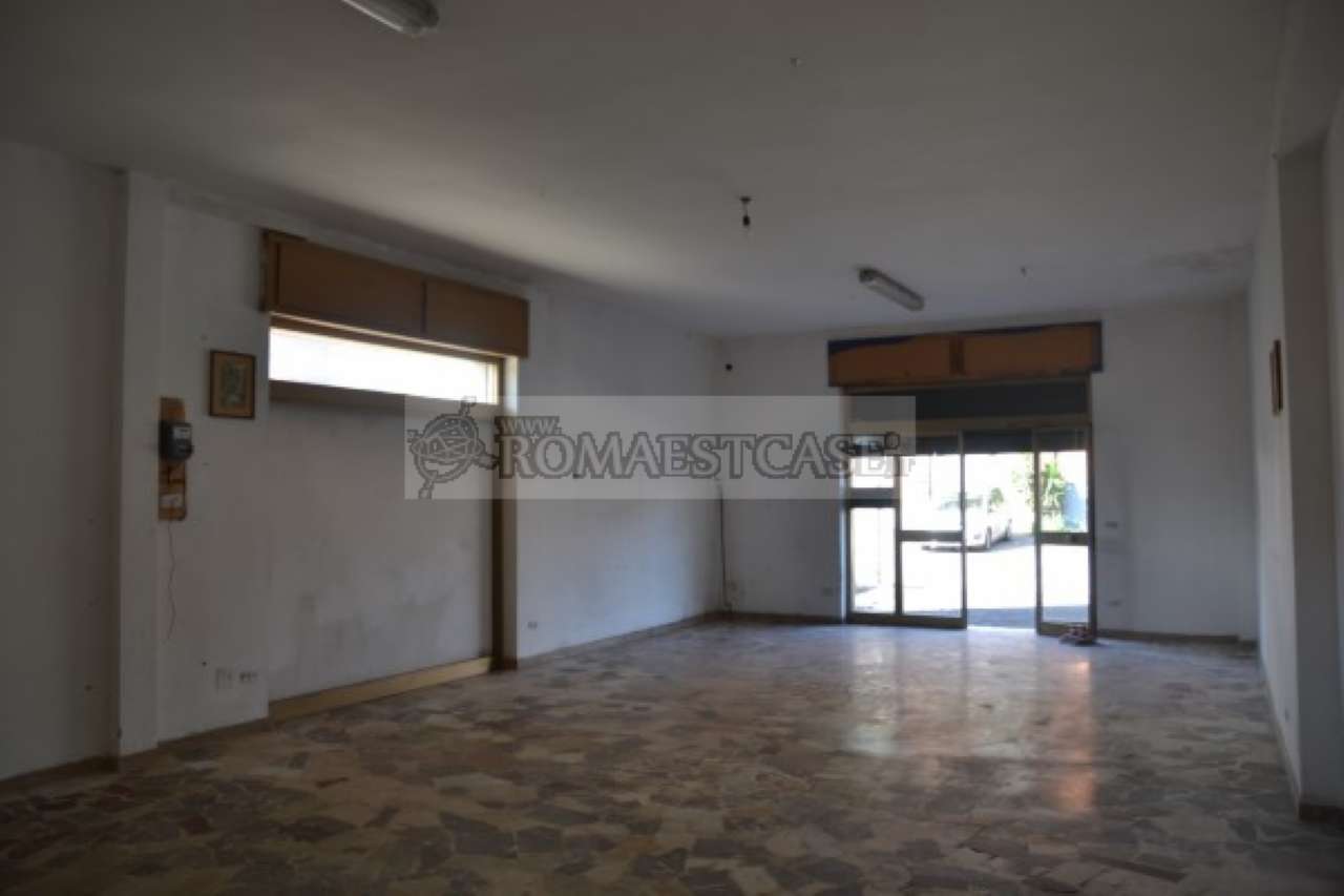 Negozio - Loc.Com. ROMA affitto  BORGHESIANA (ZONA DELLA VIII MUN.) Melissano RomaEstCase.it