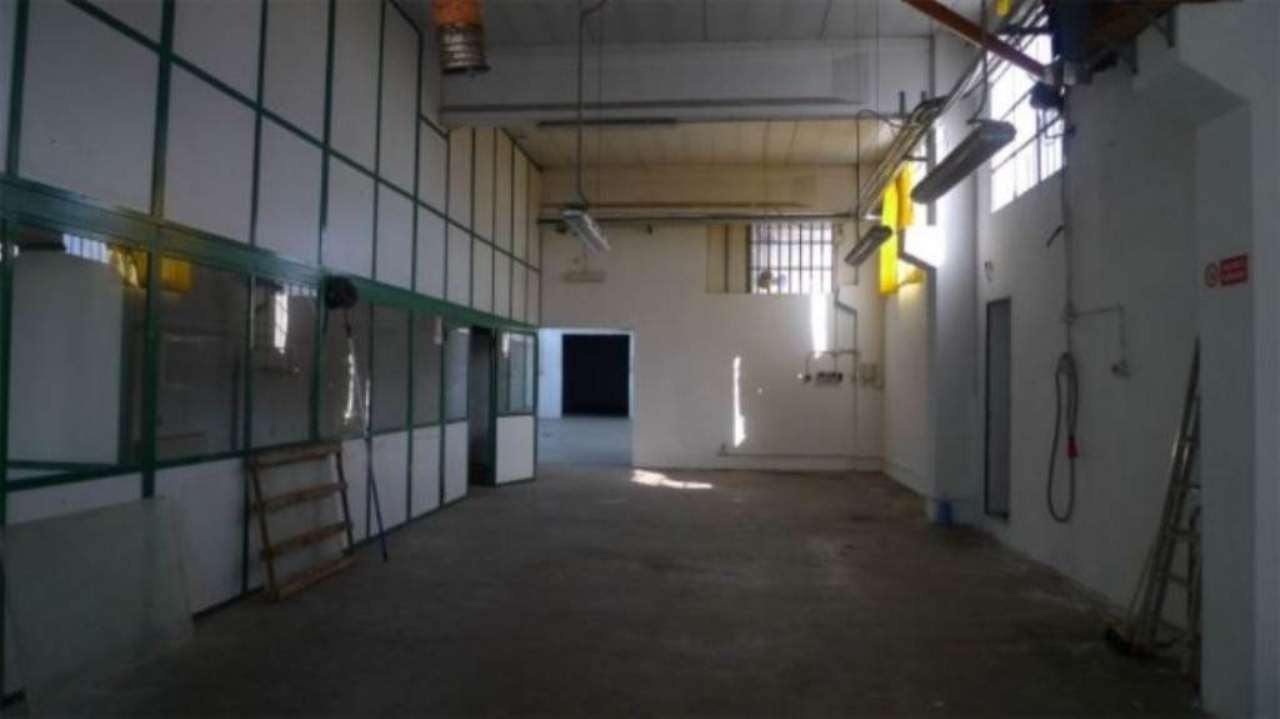 Capannoni (Tutti) ALESSANDRIA affitto   Pavia AZZURRA L'IMMOBILIARE