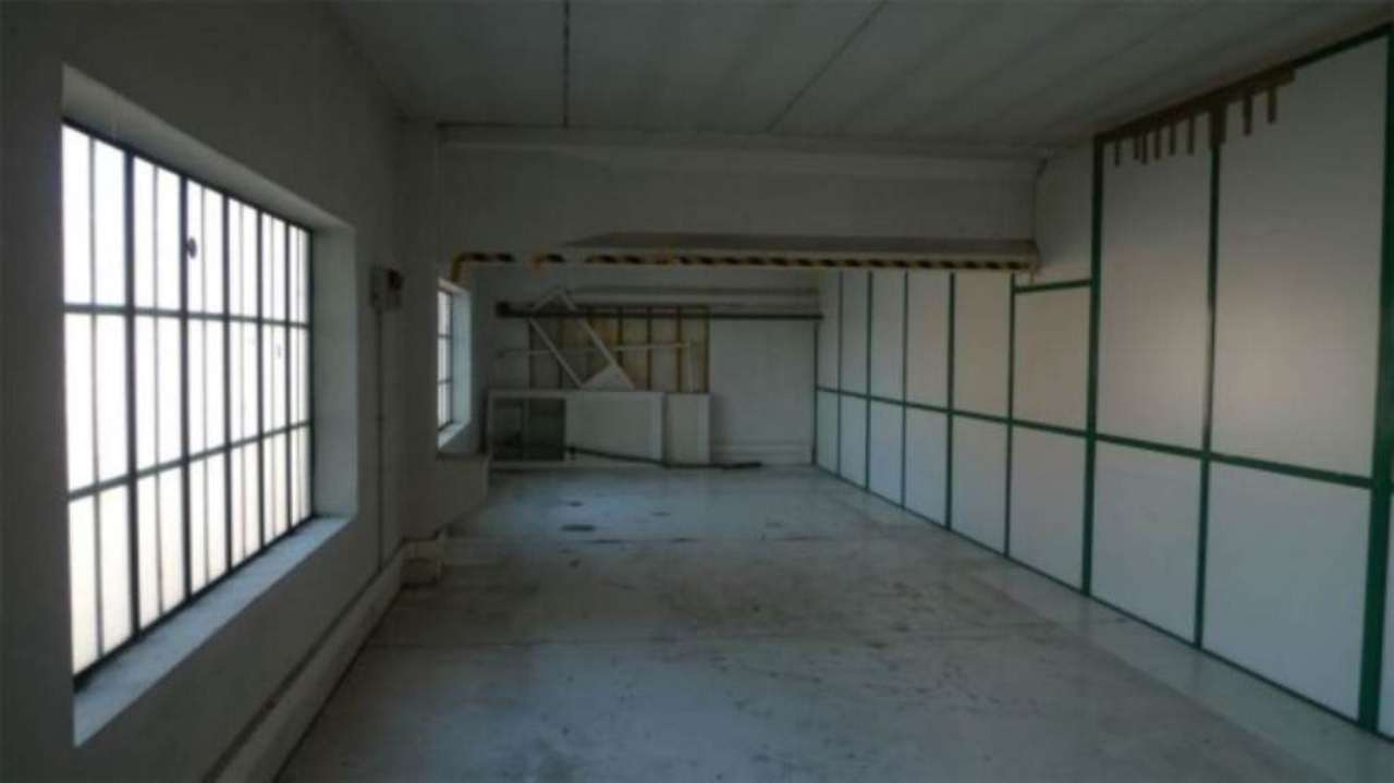 Capannoni (Tutti) ALESSANDRIA affitto   Pavia AZZURRA L'IMMOBILIARE