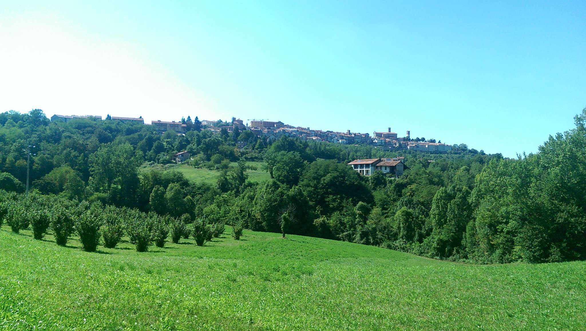 Villa Unifamiliare - Indipendente MONDOVÌ vendita   Delle Moglie Camperi Immobiliare