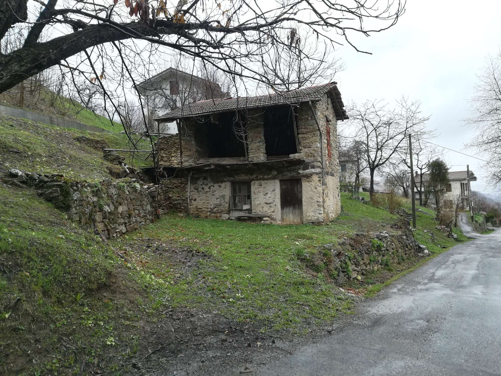 Rustico - Cascina VIOLA vendita   pallarea Camperi Immobiliare