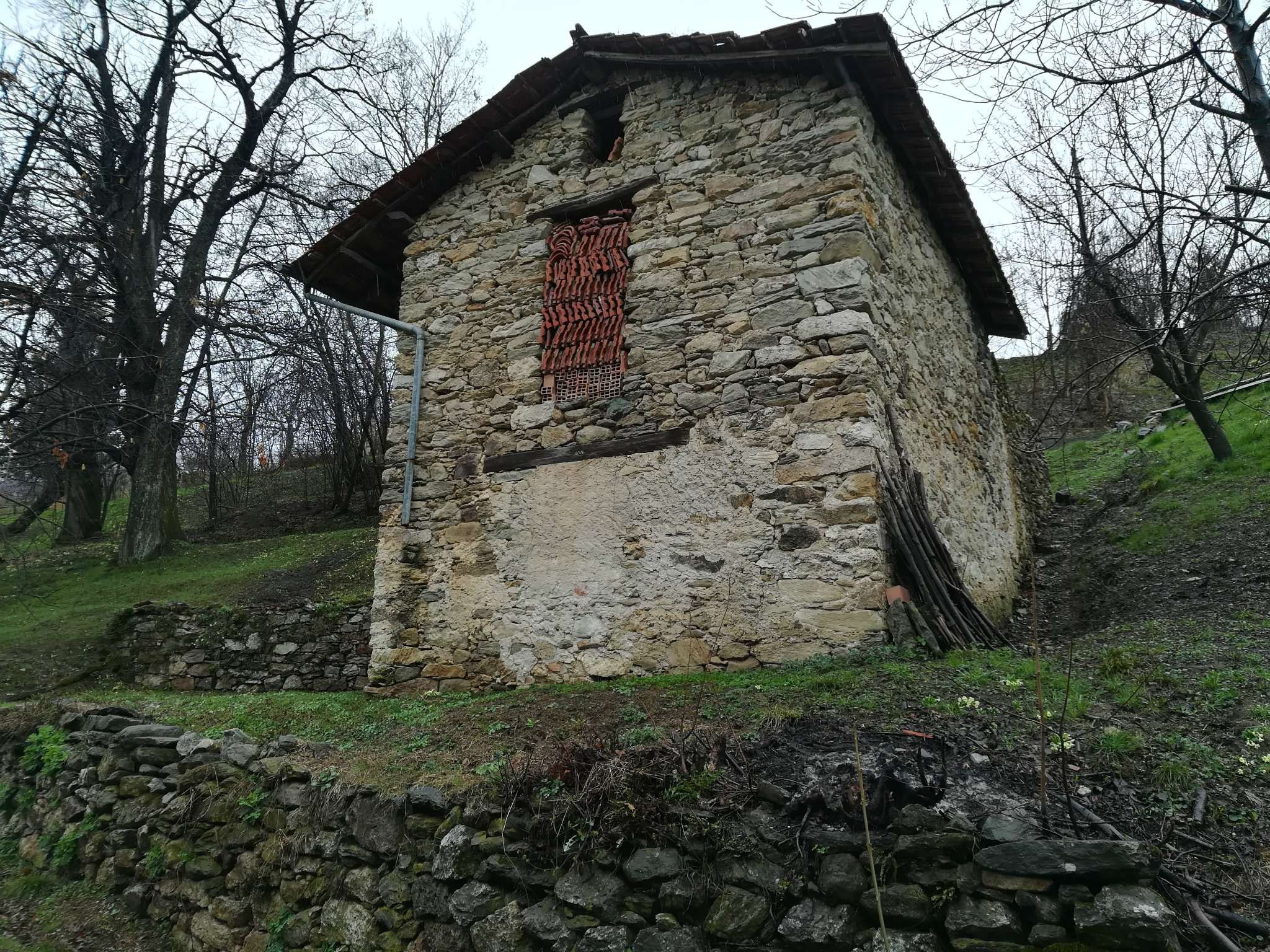 Rustico - Cascina VIOLA vendita   pallarea Camperi Immobiliare