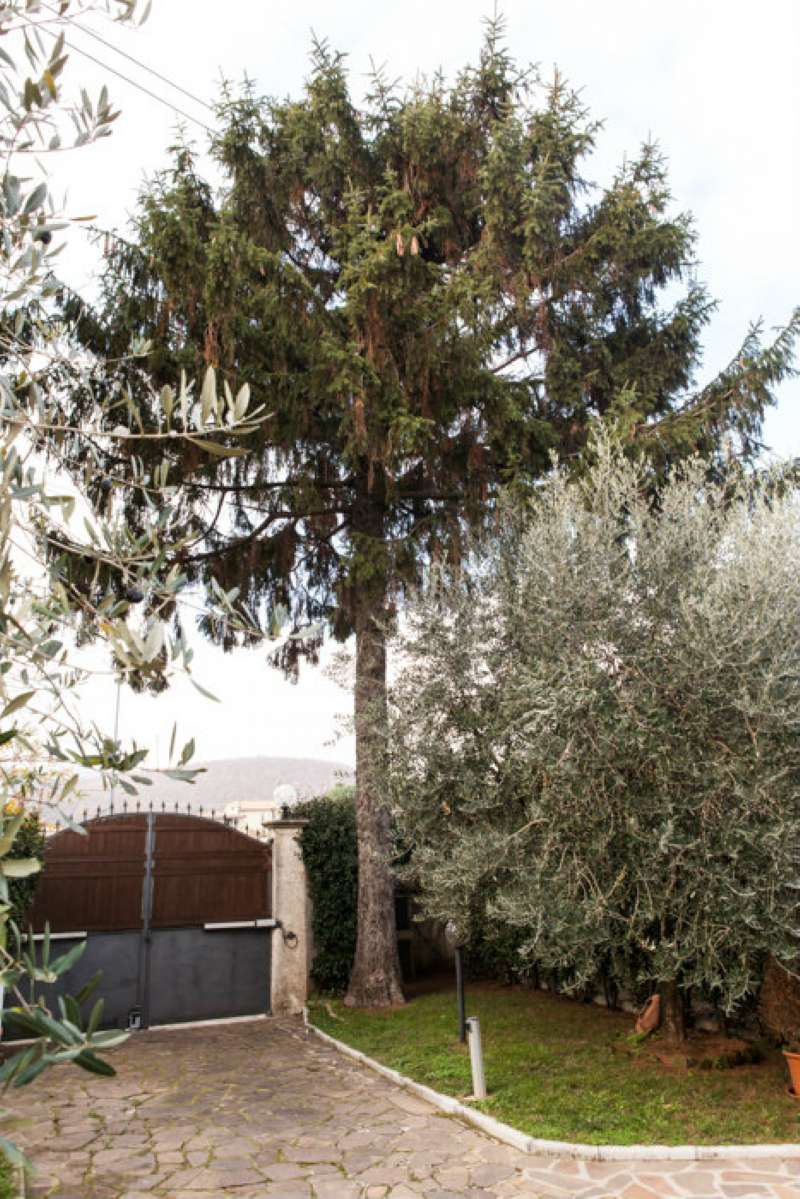 Villa Trifamiliare ROCCA PRIORA vendita   Via di San Cesareo Meridiana Mediazioni s.r.l.