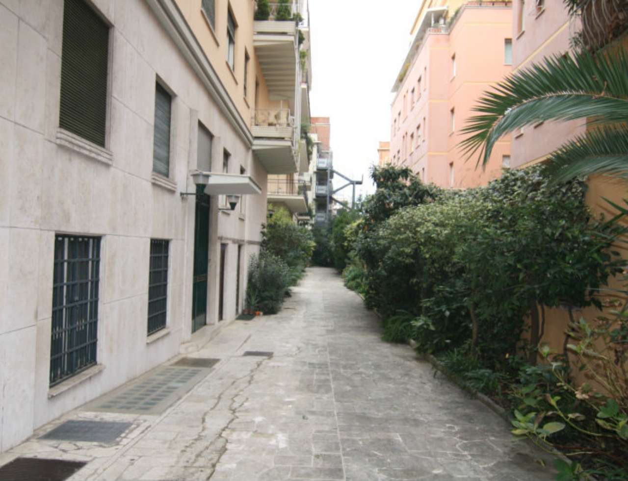 Ufficio - Loc.Com. ROMA affitto  TRIESTE (II MUN.) Via Salaria Meridiana Mediazioni s.r.l.