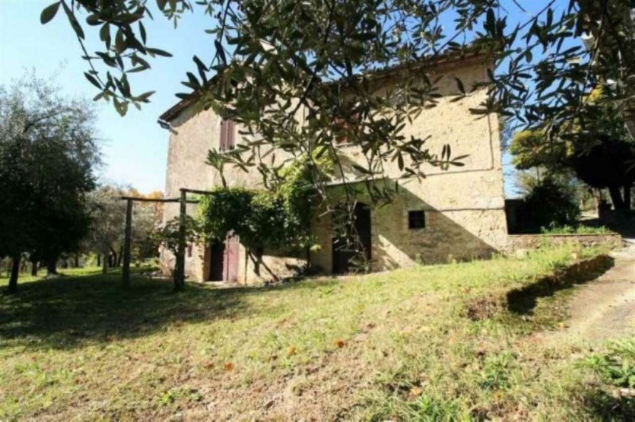 Rustico - Cascina POGGIO CATINO vendita   Sant'Agostino BEST IMMOBILIARE