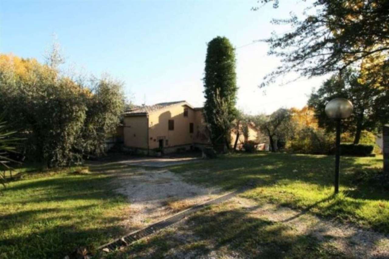 Rustico - Cascina POGGIO CATINO vendita   Sant'Agostino BEST IMMOBILIARE