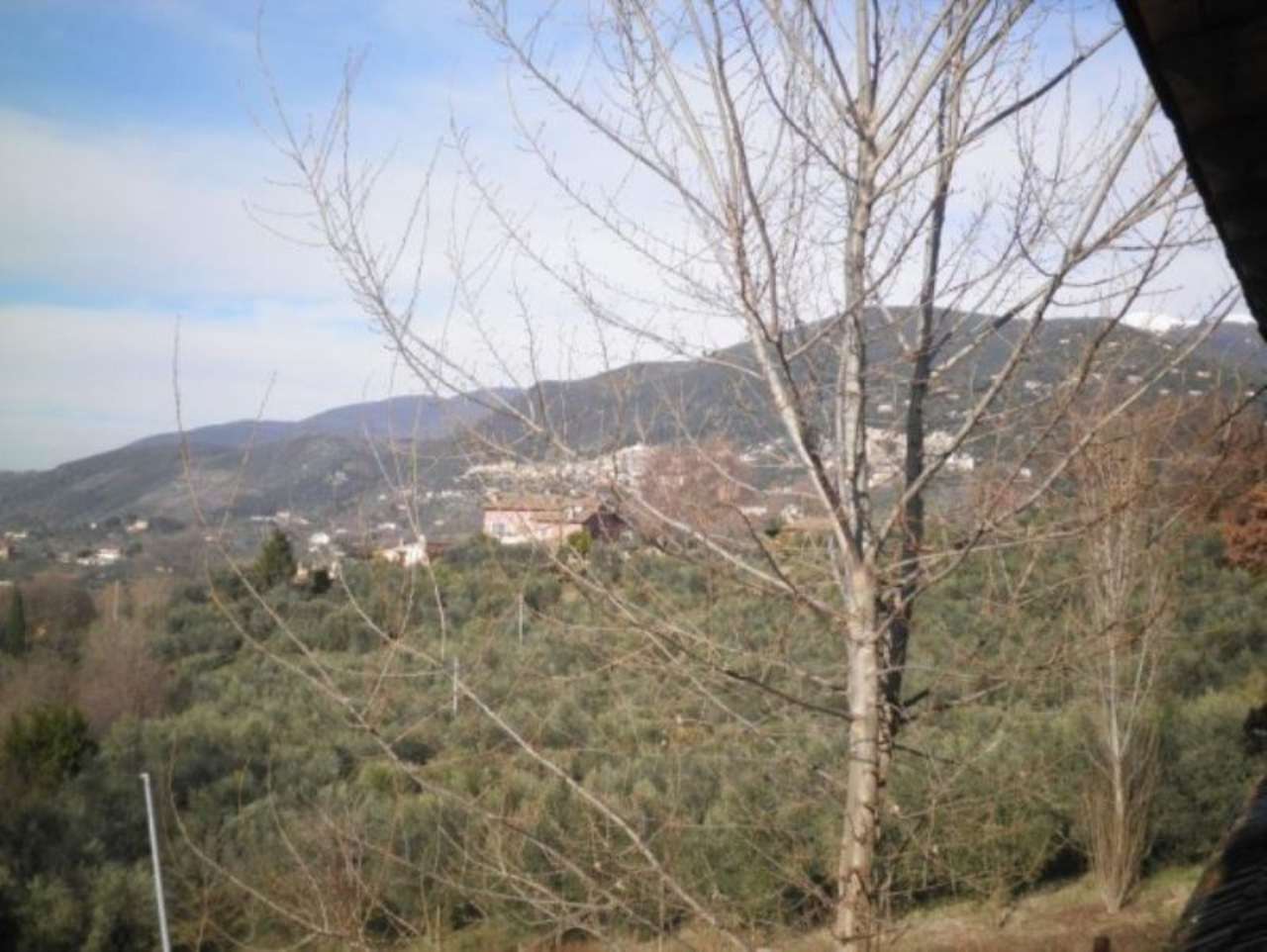 Villa Unifamiliare - Indipendente POGGIO MIRTETO vendita   Fontegrotti BEST IMMOBILIARE