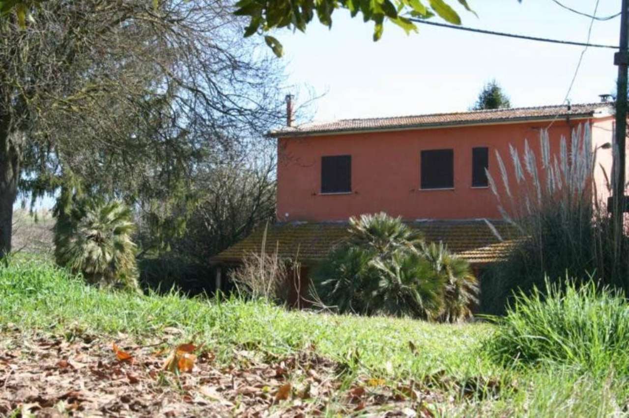 Rustico - Cascina RIGNANO FLAMINIO vendita   vallelunga BEST IMMOBILIARE