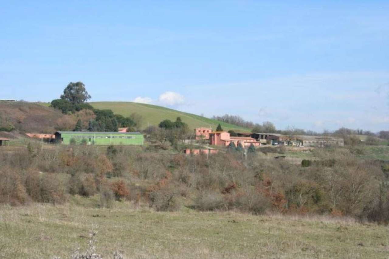 Rustico - Cascina RIGNANO FLAMINIO vendita   vallelunga BEST IMMOBILIARE