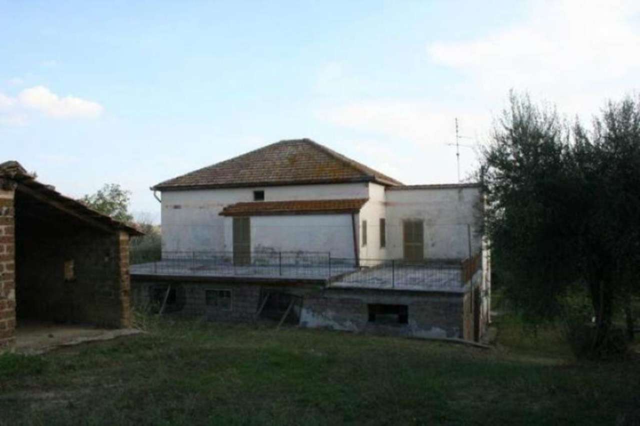 Rustico - Cascina TARANO vendita   San filippo BEST IMMOBILIARE