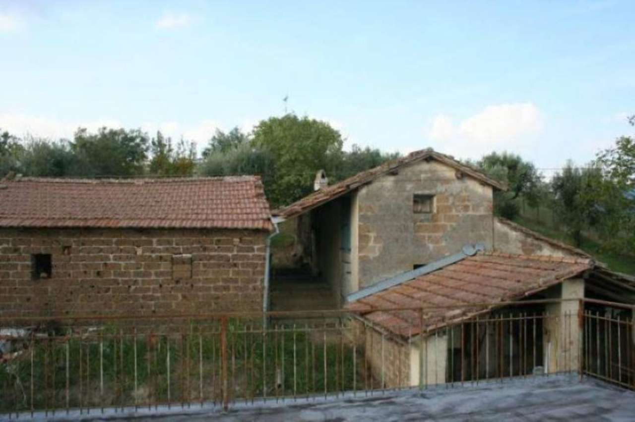 Rustico - Cascina TARANO vendita   San filippo BEST IMMOBILIARE