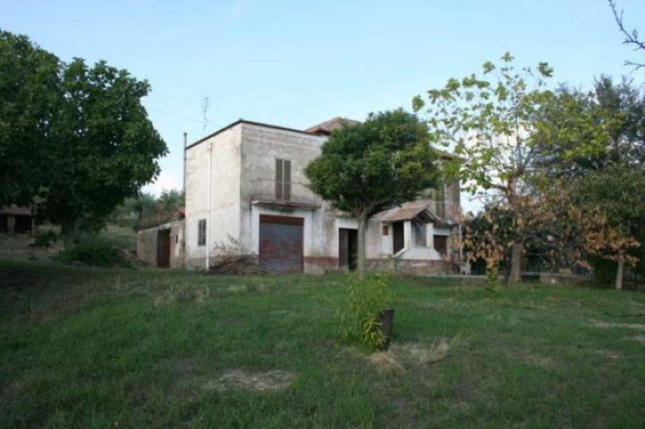 Rustico - Cascina TARANO vendita   San filippo BEST IMMOBILIARE