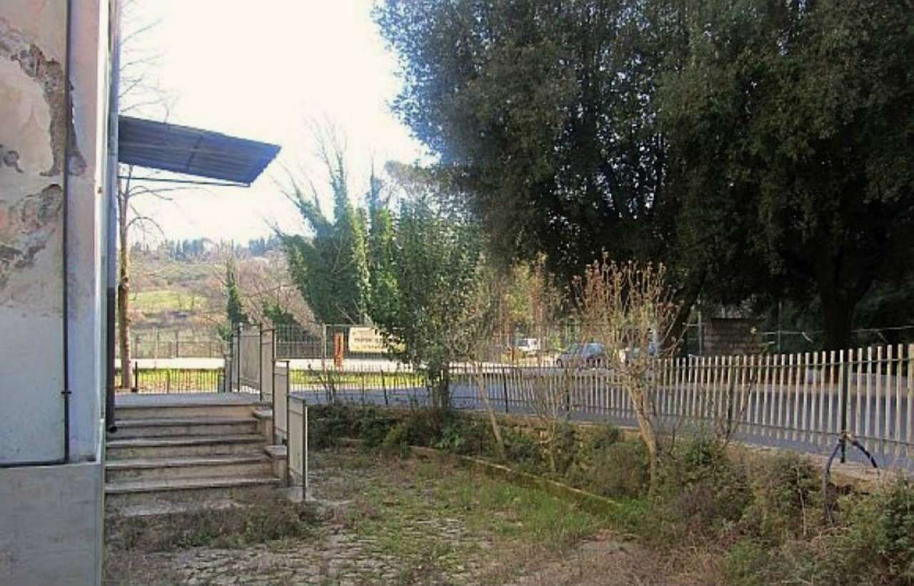 Appartamento MONTOPOLI DI SABINA vendita   SP 46 BEST IMMOBILIARE