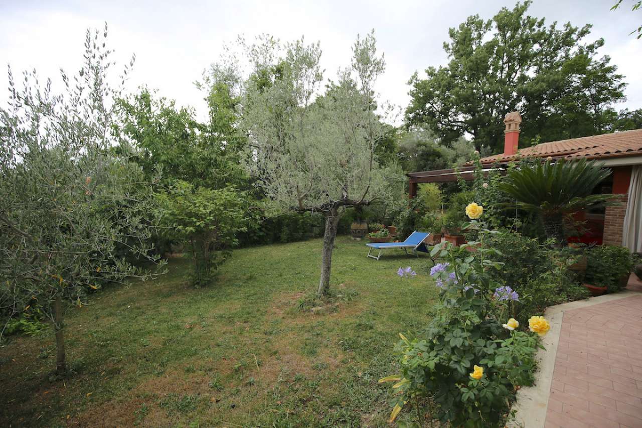 Appartamento MONTOPOLI DI SABINA vendita   Paradiso BEST IMMOBILIARE