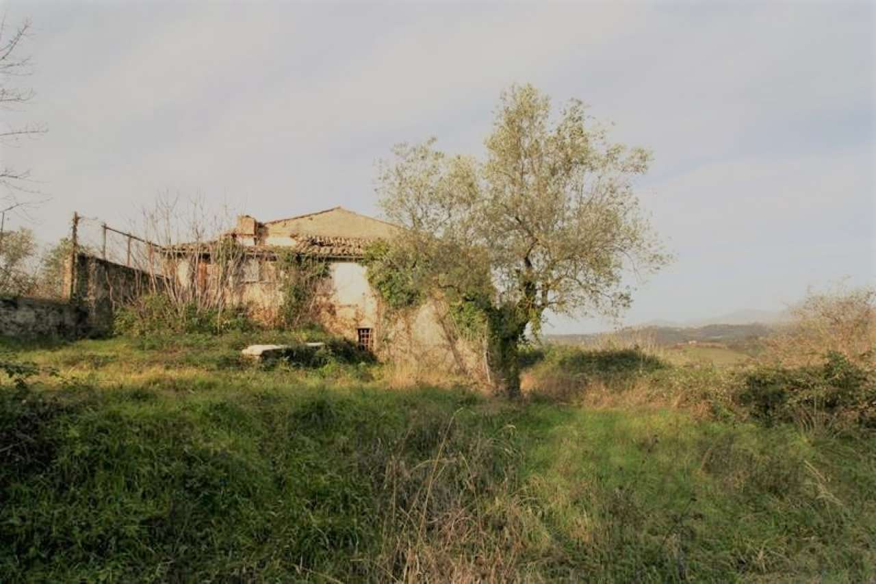 Rustico - Cascina POGGIO MIRTETO vendita   via ottorini caproni BEST IMMOBILIARE