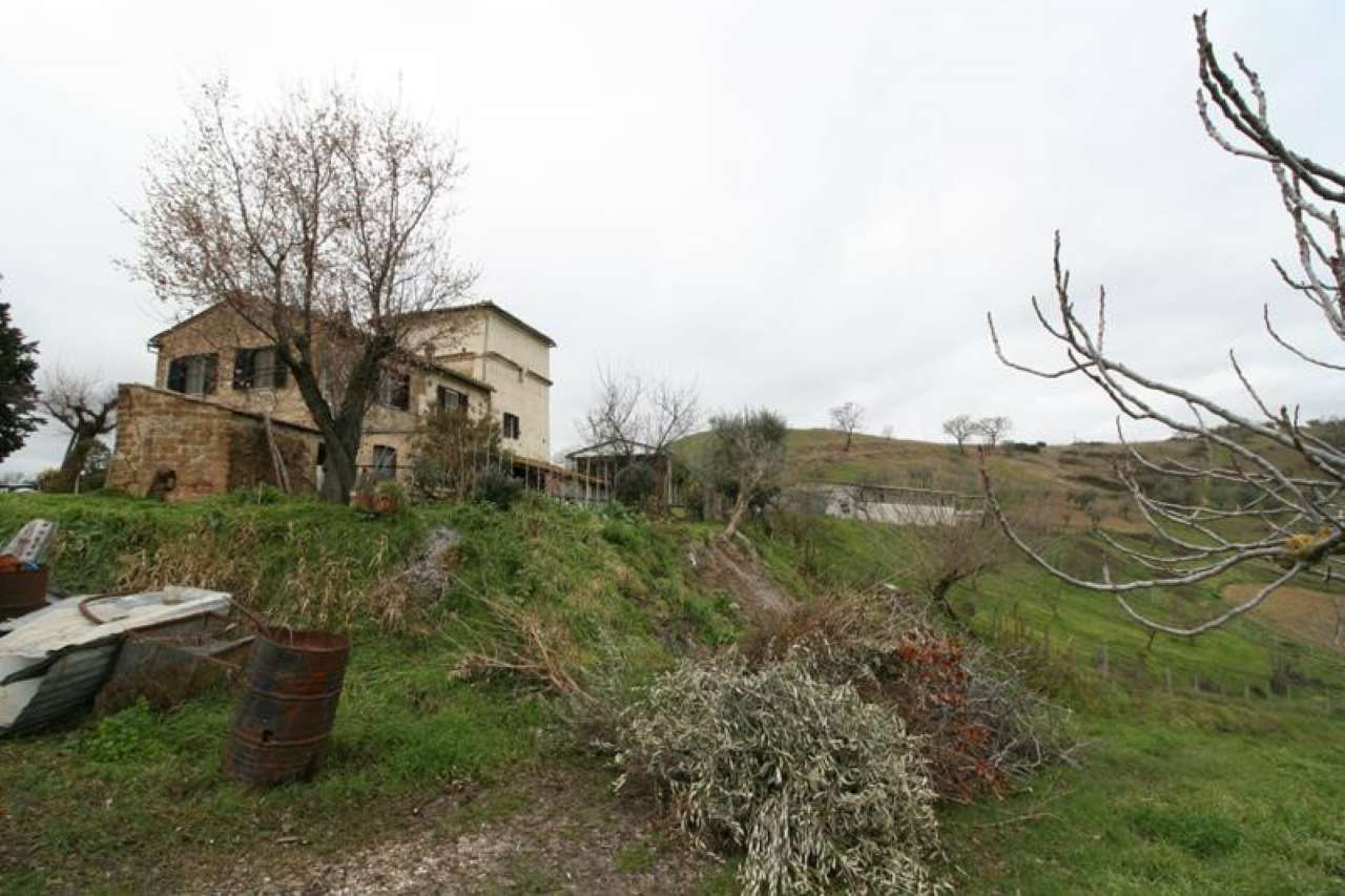 Rustico - Cascina MONTEBUONO vendita   san martino BEST IMMOBILIARE