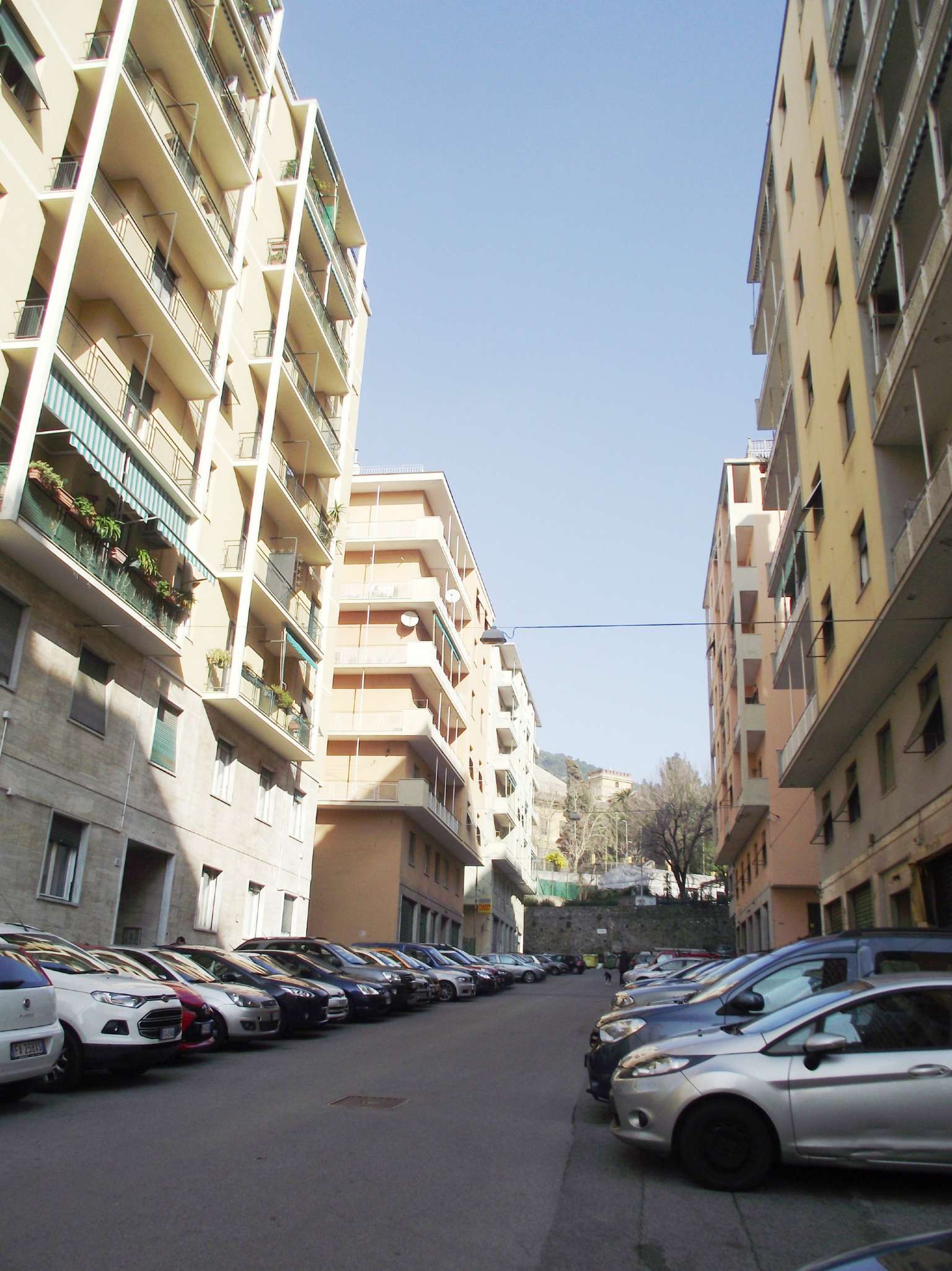 Appartamento GENOVA vendita  SESTRI P. Molfino Di Prima Immobiliare