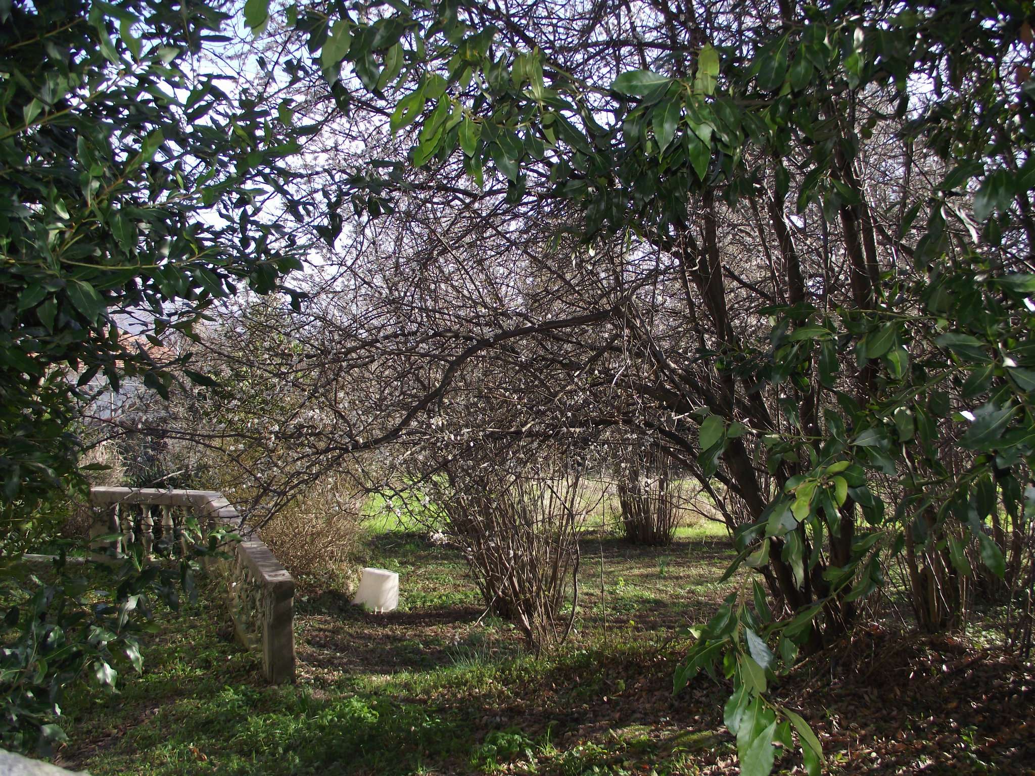 Rustico - Cascina MIGNANEGO vendita   Gazzo Di Prima Immobiliare