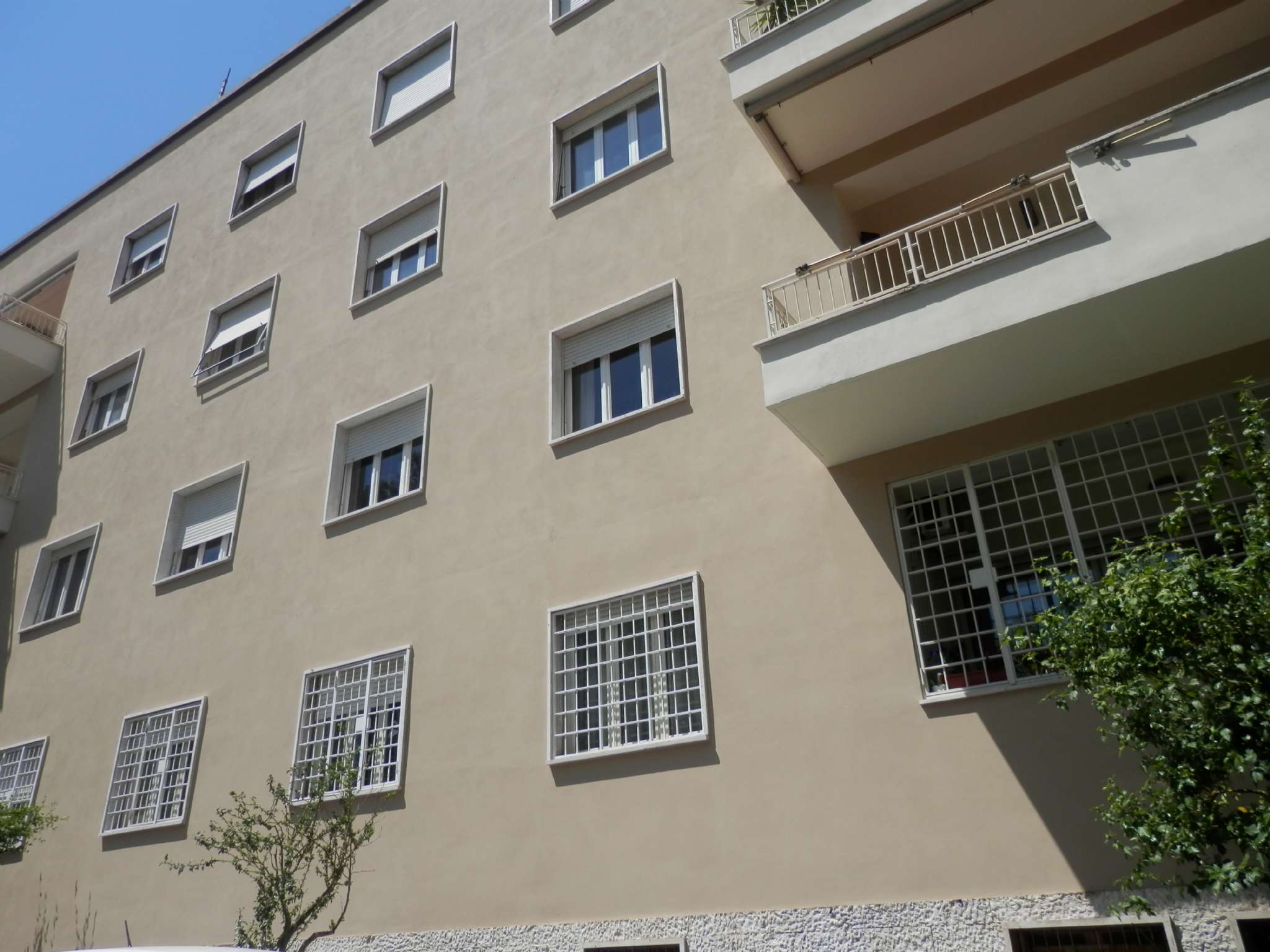 Appartamento ROMA vendita  TRIESTE (II MUN.) niccolò Piccinni SCARPELLI e PRINCIPATO IMMOBILIARE