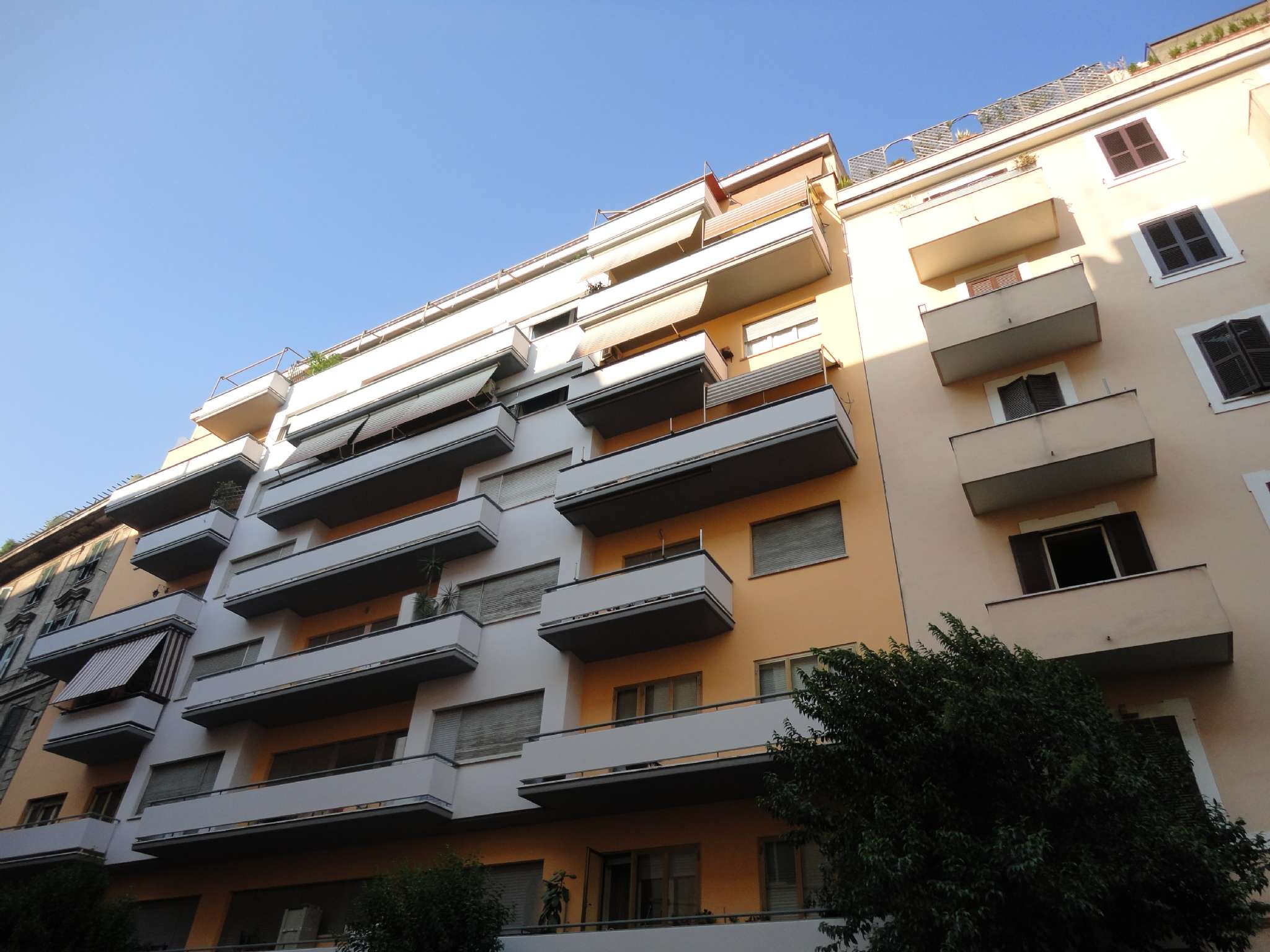  roma affitto quart: prati scarpelli e principato immobiliare