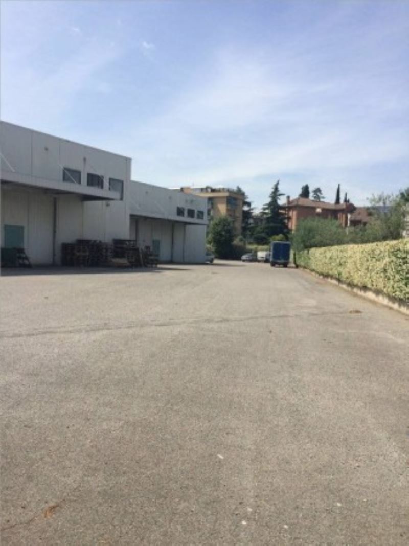 Capannoni (Tutti) ROMA affitto  SETTECAMINI (ZONA DELLA V MUN.) Tiburtina Loyimmobiliare S.R.L.