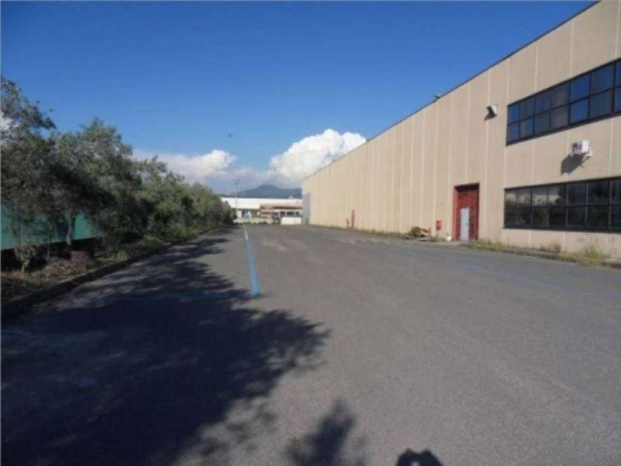 Capannoni (Tutti) ROMA affitto  AEROPORTO DI CIAMPINO (ZONA DELLA XI MUN.)  Provinciale 3/e Ardeatina Loyimmobiliare S.R.L.