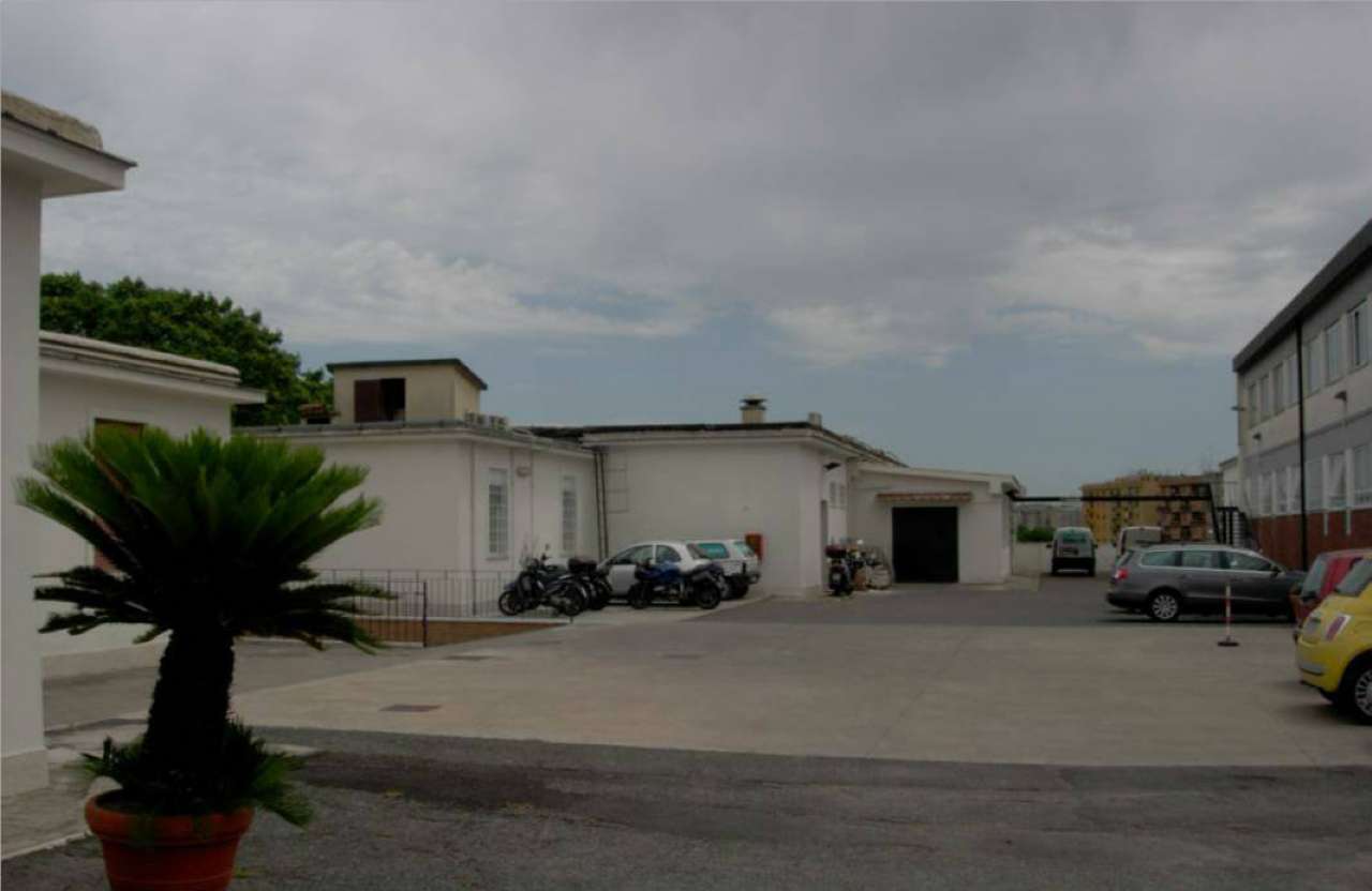 Ufficio - Loc.Com. ROMA affitto  Tiburtina Alfonso Torelli Loyimmobiliare S.R.L.