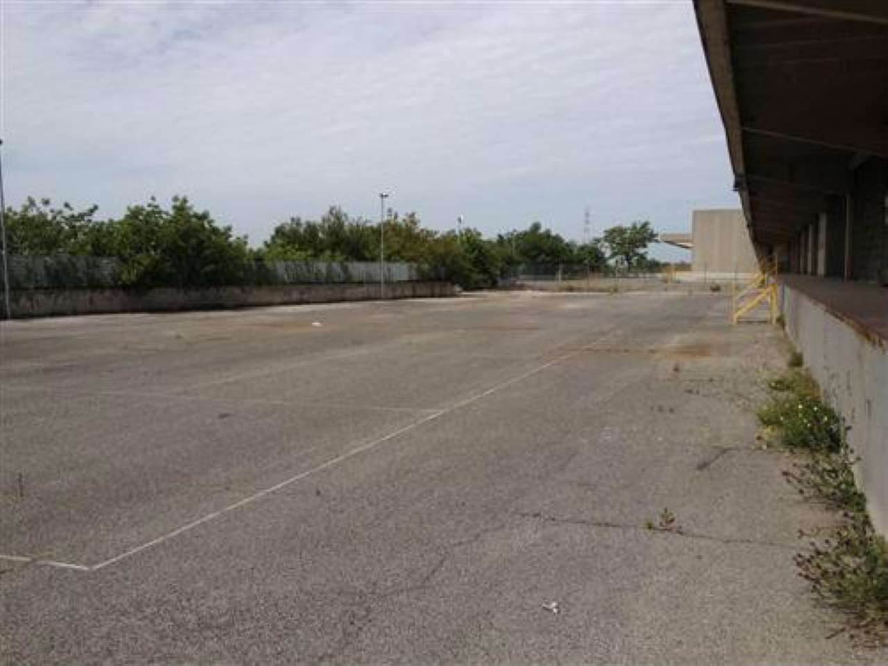 Capannoni (Tutti) ROMA affitto  Tiburtina AMASENO Loyimmobiliare S.R.L.