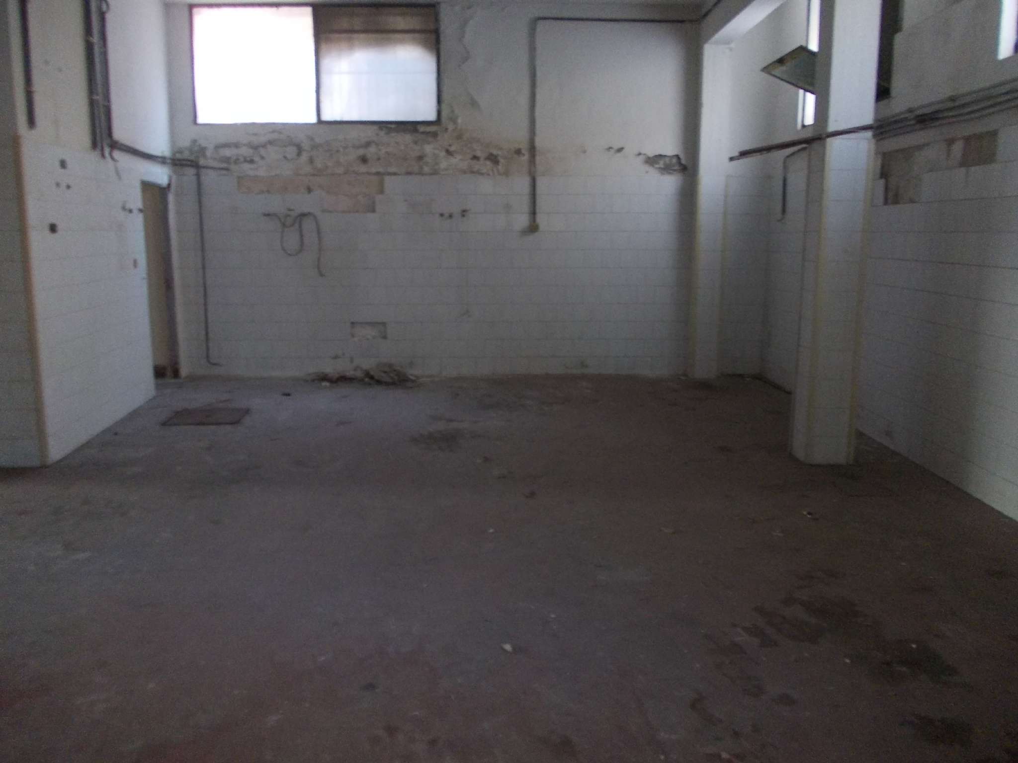 Negozio - Loc.Com. ROMA affitto  Tiburtina  Cominvestimenti Srls