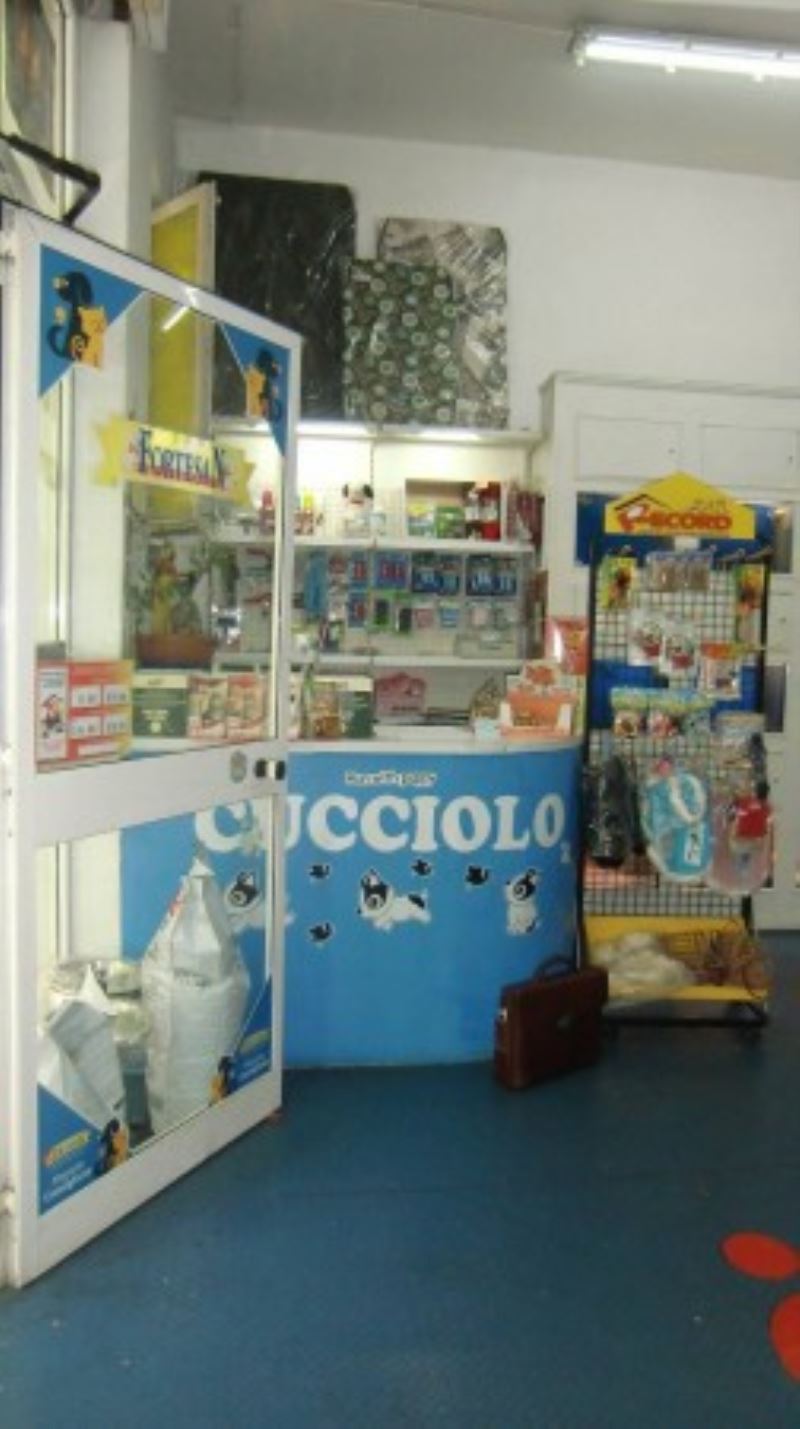 Negozio - Loc.Com. ROMA vendita  San giovanni Vetulonia CLODIACASE servizi immobiliari