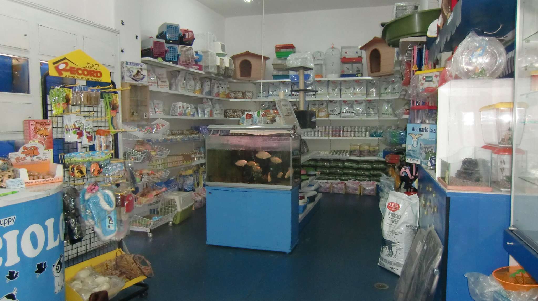 Negozio - Loc.Com. ROMA affitto  San giovanni Vetulonia CLODIACASE servizi immobiliari