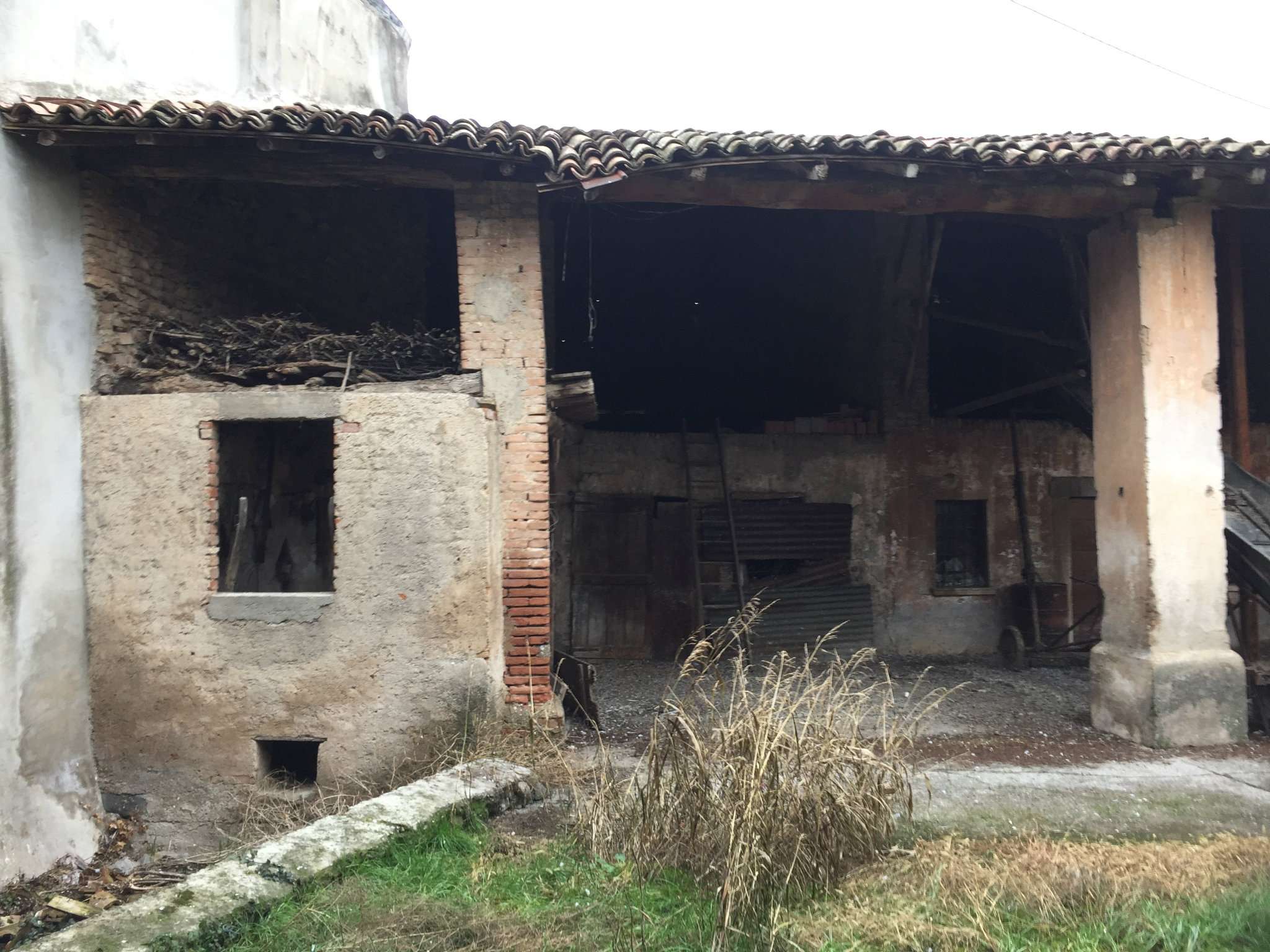 Rustico - Cascina MONTICHIARI vendita    Immobiliare Europea