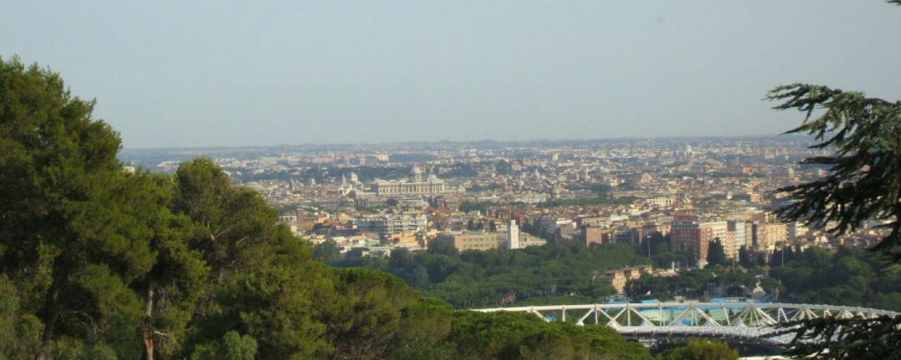  roma vendita quart: camilluccia sviluppo area