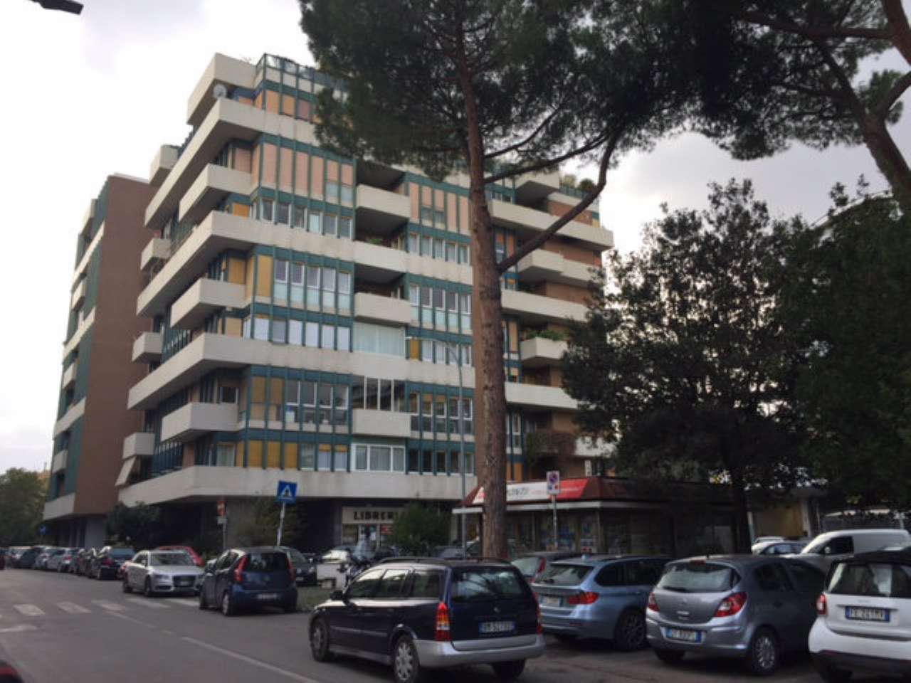 Negozio - Loc.Com. ROMA vendita  VIGNA CLARA JACINI Sviluppo Area