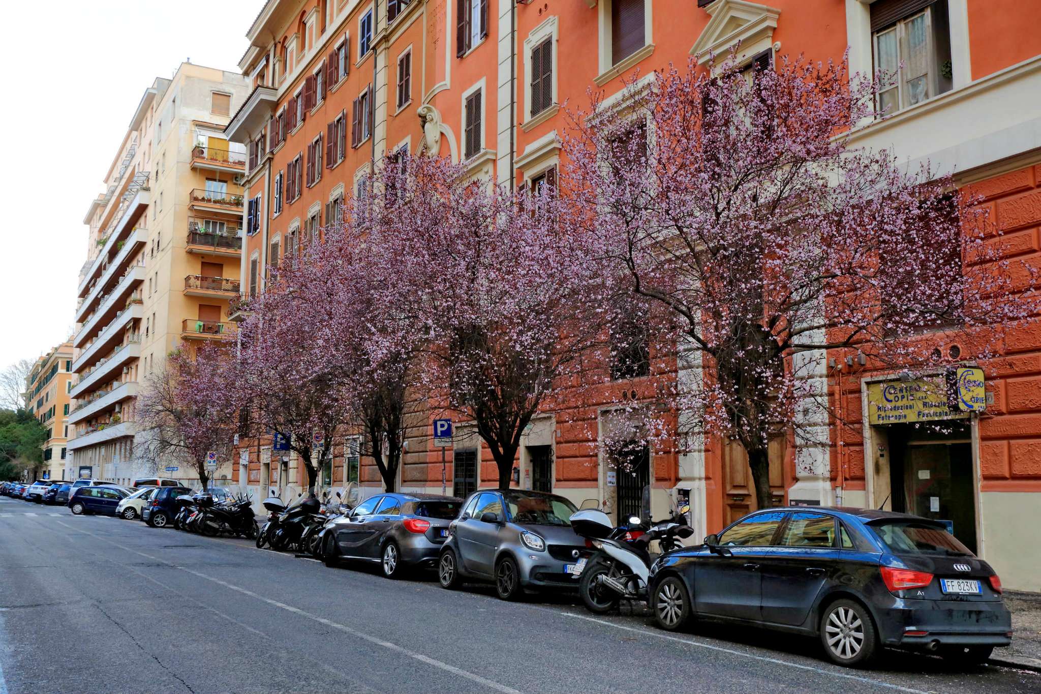  roma affitto quart: prati sviluppo area