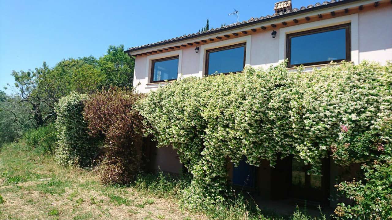 Villa Unifamiliare - Indipendente SELCI vendita   Vallerosa Gruppo Cascino