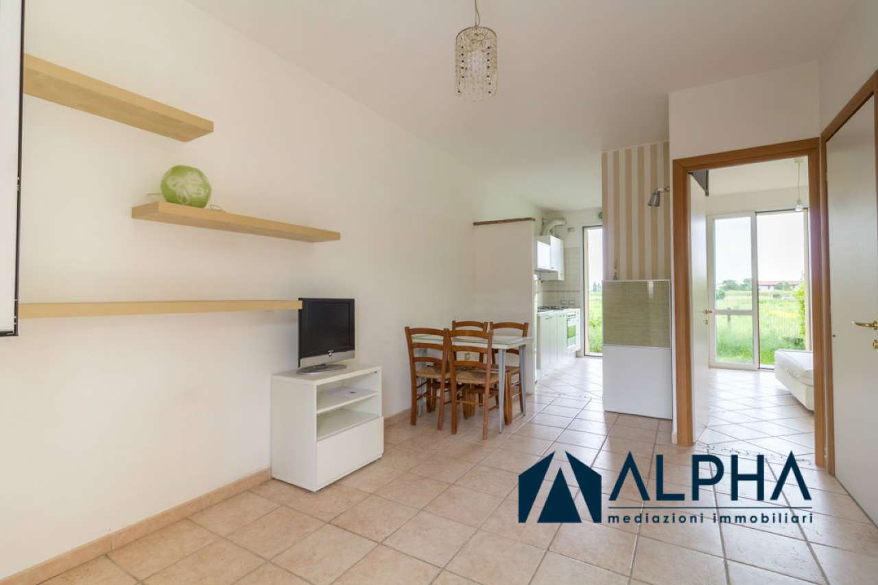  forlimpopoli vendita quart:  alpha immobiliare srl