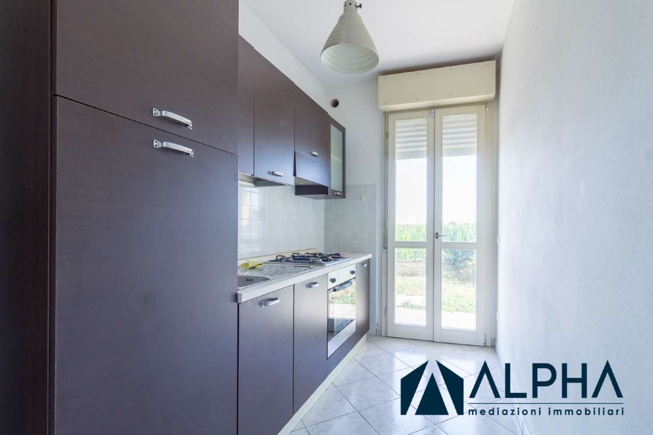 Appartamento FORLIMPOPOLI vendita   Cappona Alpha immobiliare srl