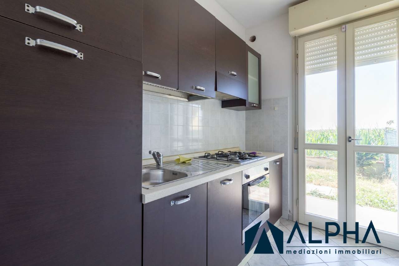  forlimpopoli vendita quart:  alpha immobiliare srl