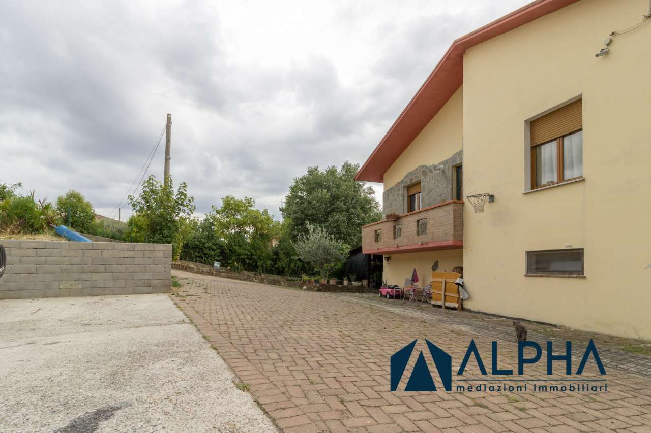 Villa Trifamiliare MELDOLA vendita   Sbaraglio Alpha immobiliare srl