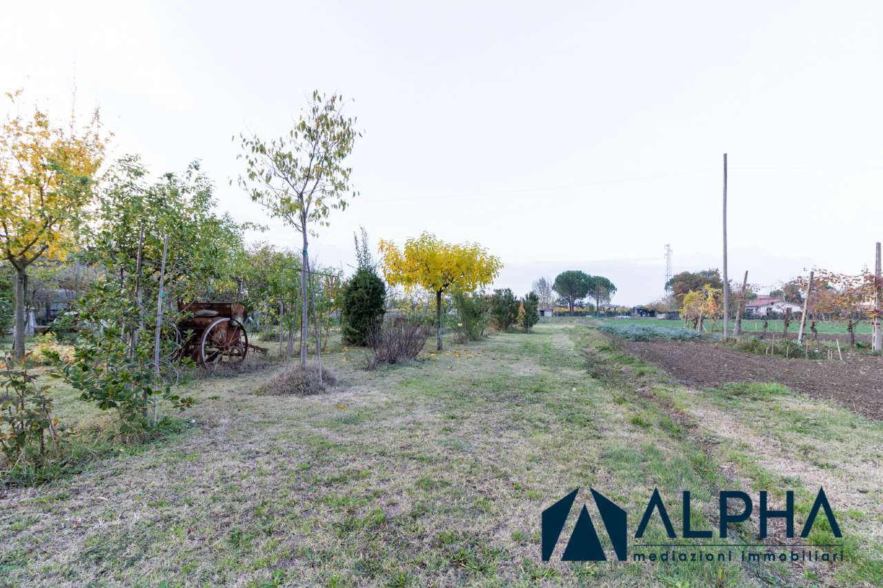 Villa Unifamiliare - Indipendente FORLIMPOPOLI vendita   Vicinale Montanara Alpha immobiliare srl