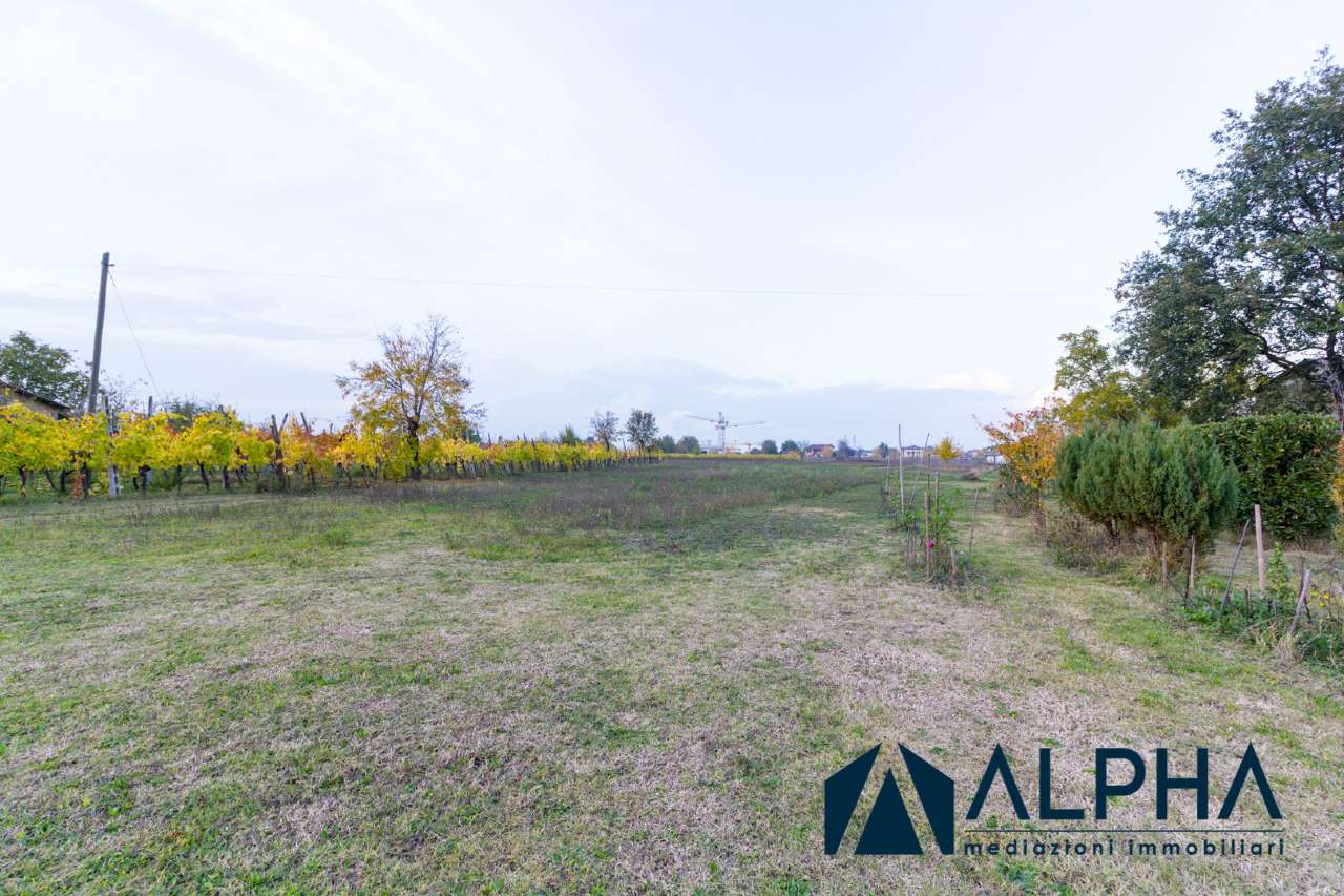 Villa Unifamiliare - Indipendente FORLIMPOPOLI vendita   Vicinale Montanara Alpha immobiliare srl