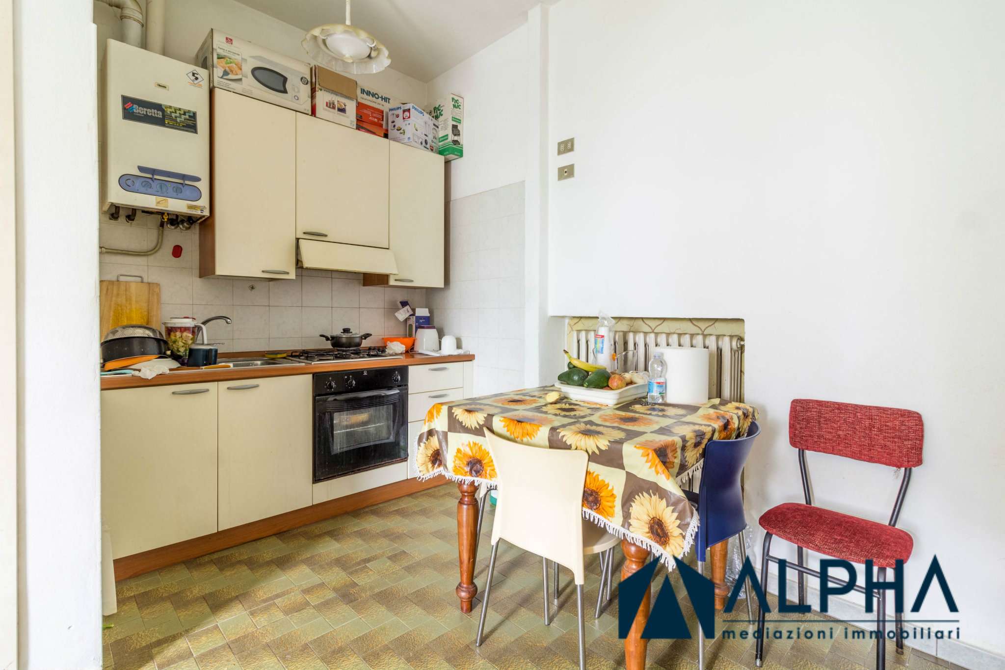 Appartamento MELDOLA vendita   Antonio Carini Alpha immobiliare srl