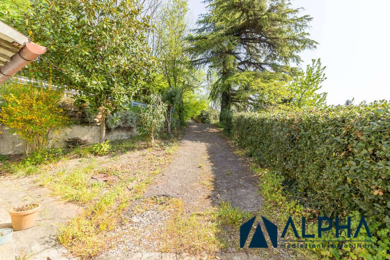 Villa Unifamiliare - Indipendente BERTINORO vendita   Polenta Alpha immobiliare srl