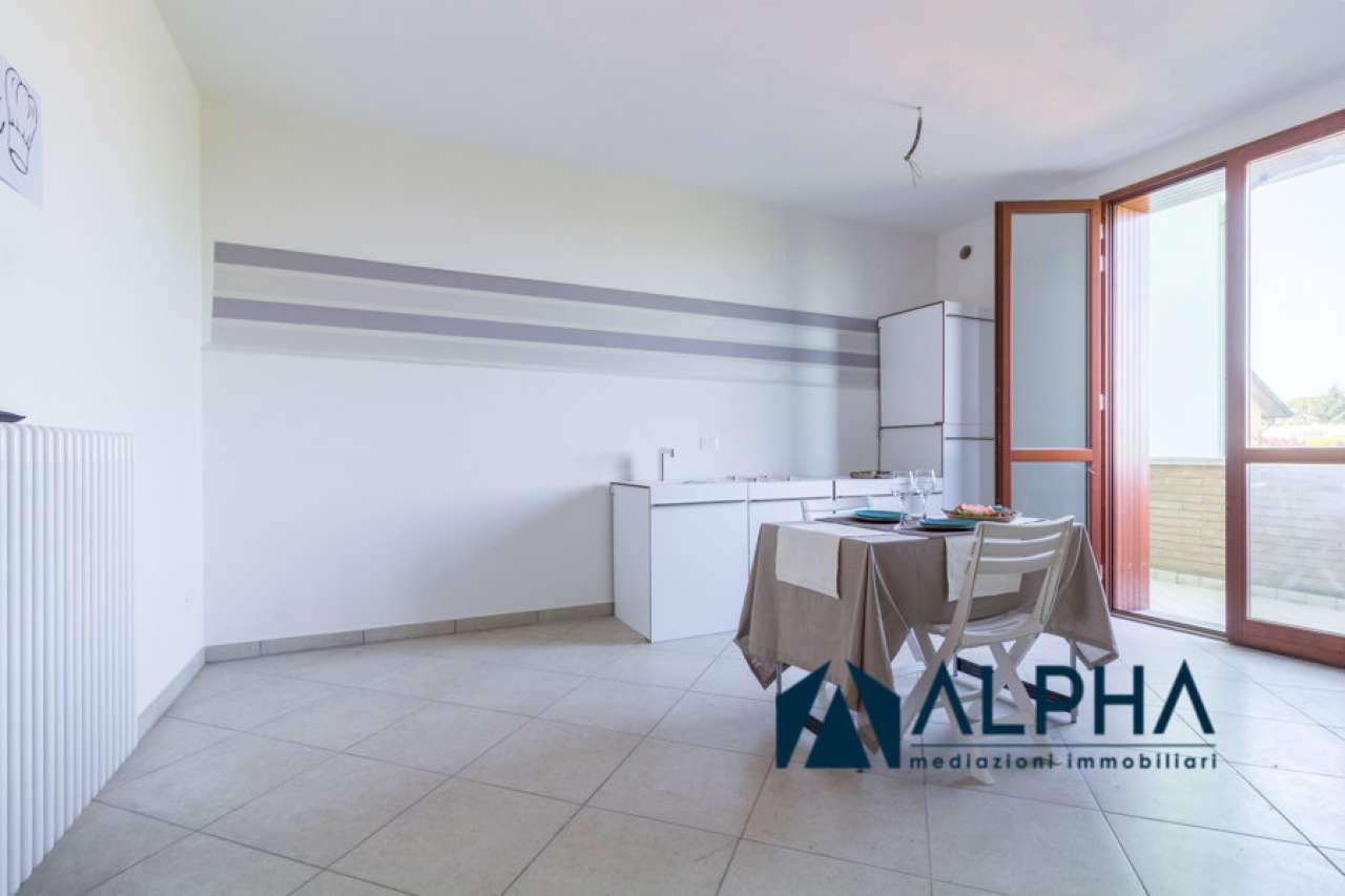 Appartamento BERTINORO vendita   capanna Alpha immobiliare srl