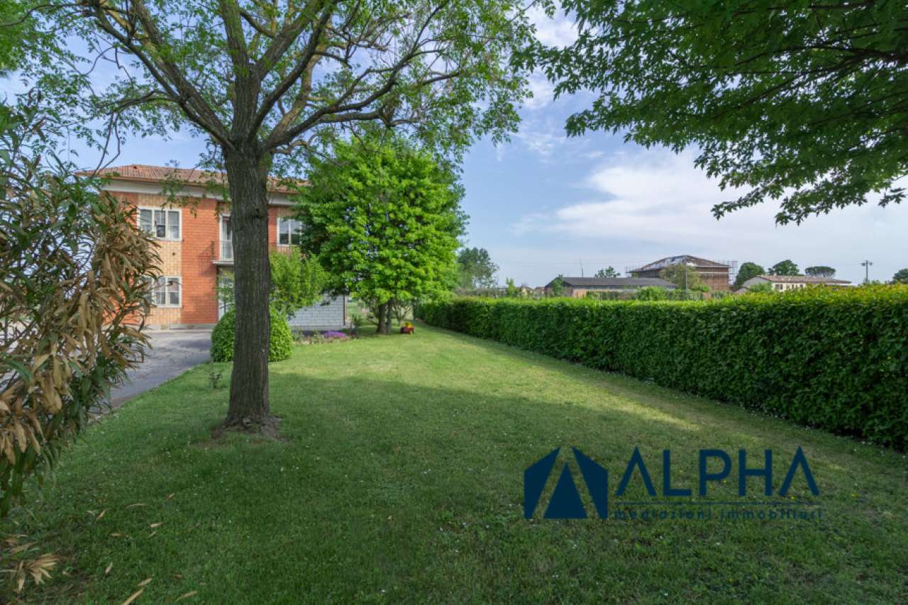 Villa Bifamiliare BERTINORO vendita   Capanna Alpha immobiliare srl