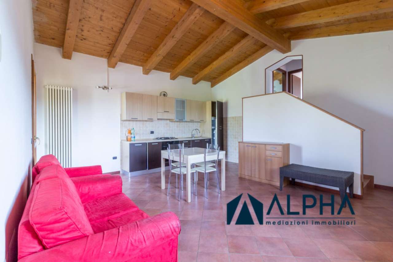 Appartamento BERTINORO vendita   Tro Meldola Alpha immobiliare srl