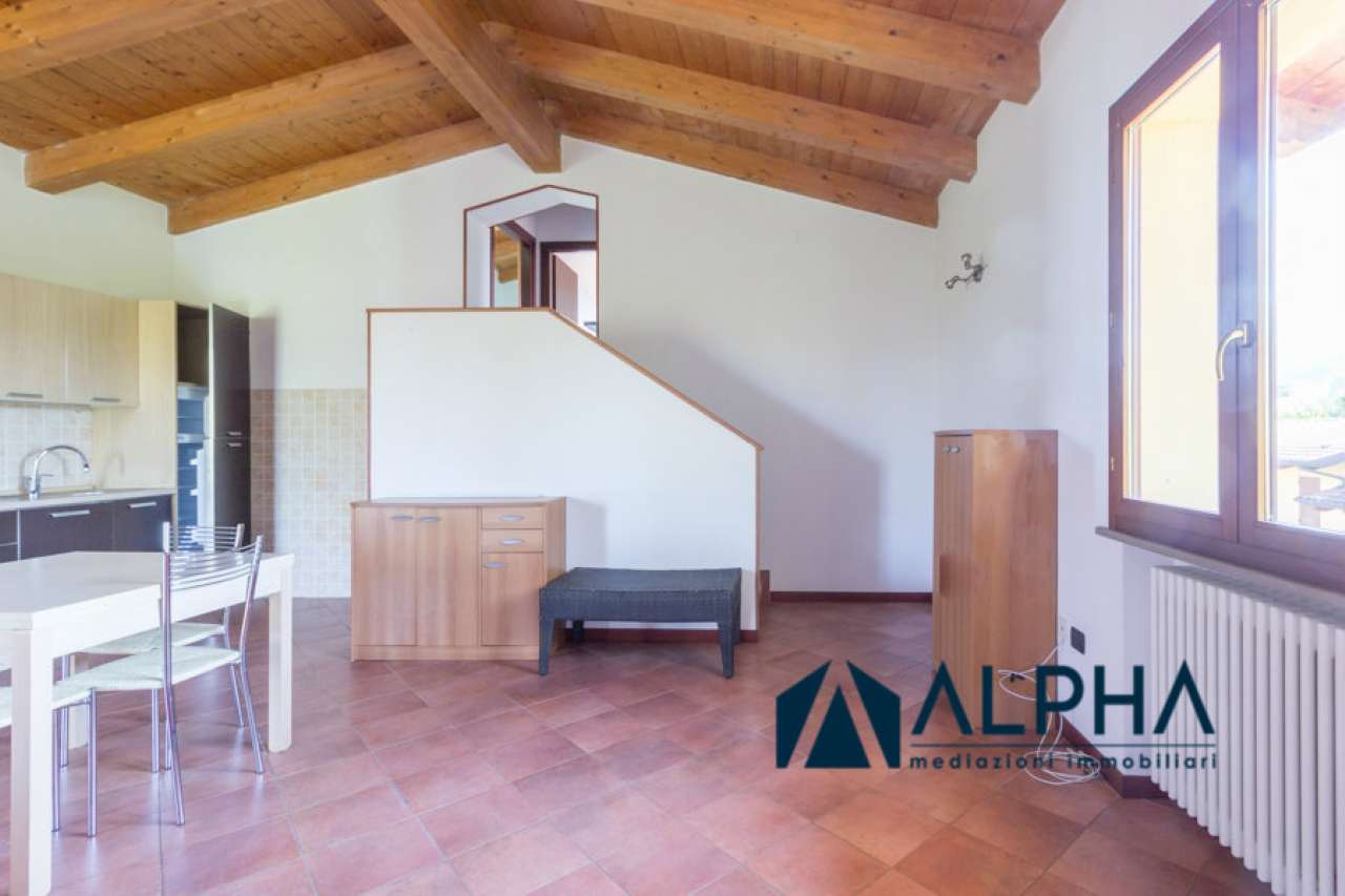 Appartamento BERTINORO vendita   Tro Meldola Alpha immobiliare srl