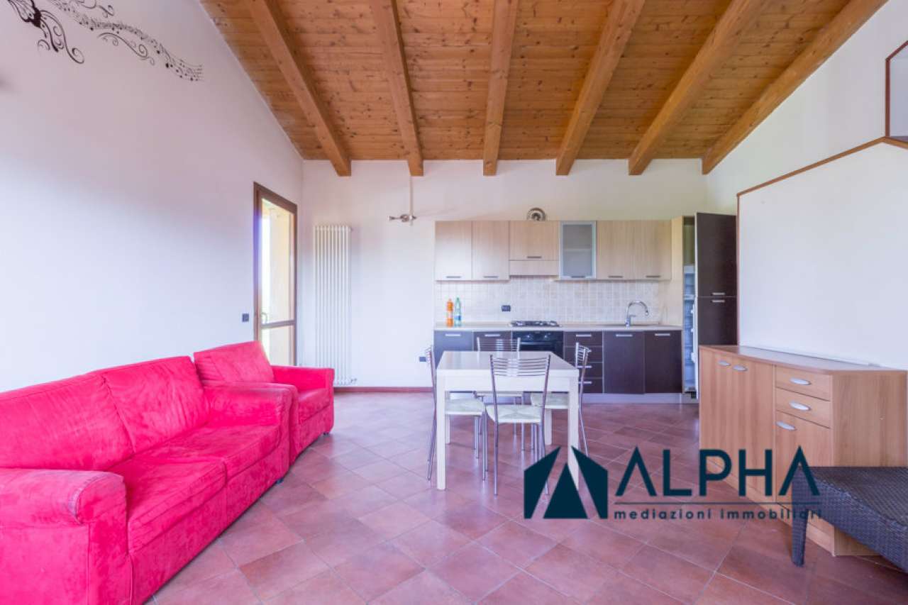 Appartamento BERTINORO vendita   Tro Meldola Alpha immobiliare srl