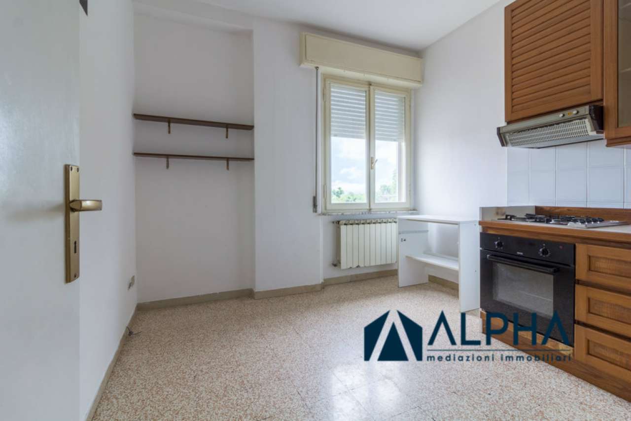 Appartamento MELDOLA vendita   Giuseppe Mazzini Alpha immobiliare srl